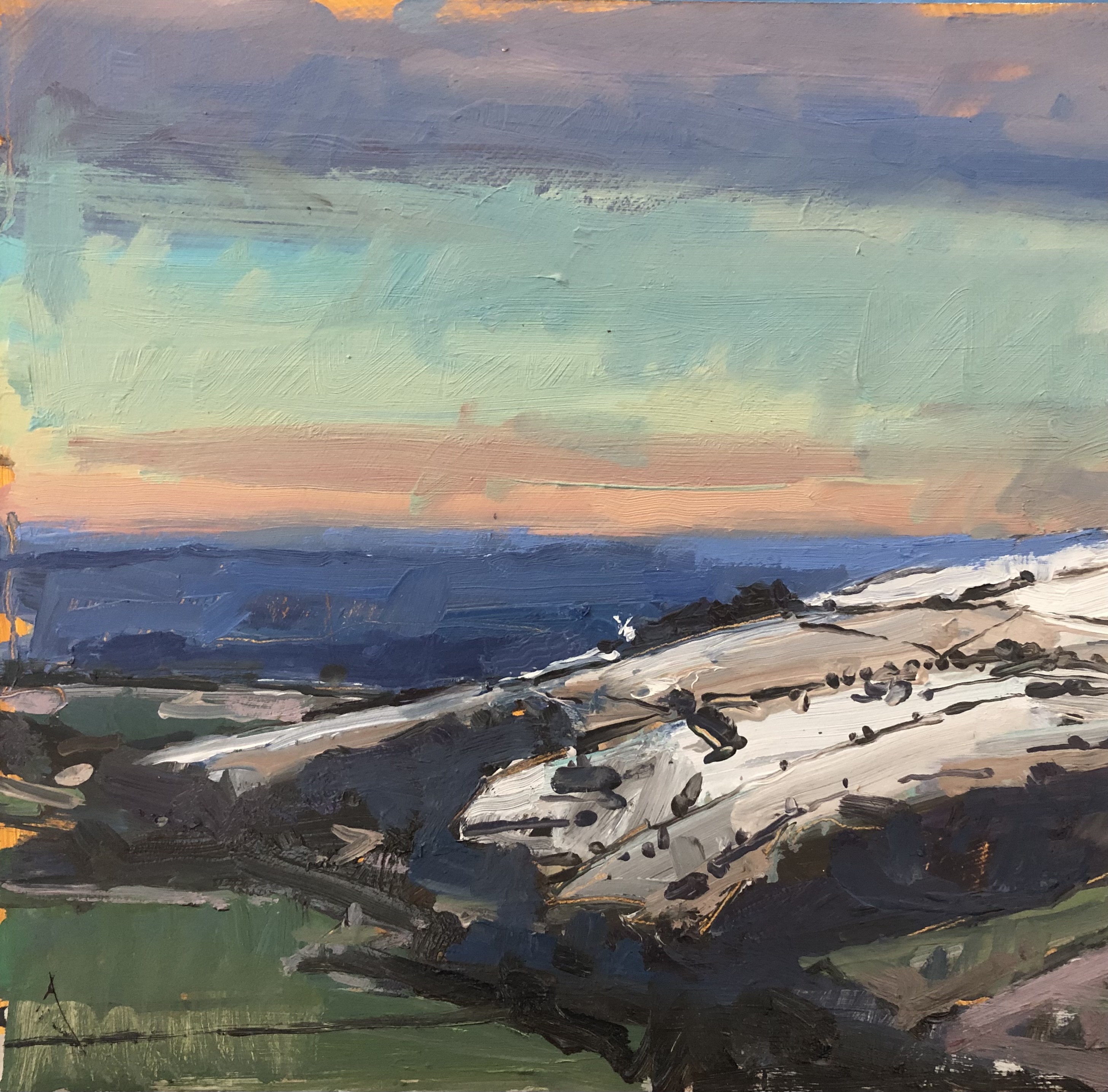 Last of the snow, South Downs 2025